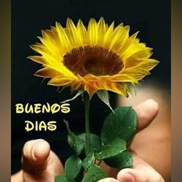 Meet your Posher, Dana - Picture 2 of 2